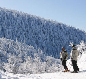 skiing at one of Montreal's ski areas
